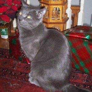 Meet your Posher, Kathryn